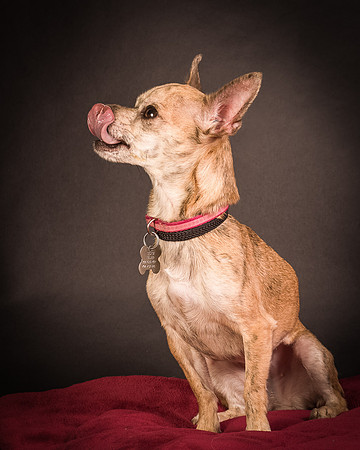 Foster Selina-1059