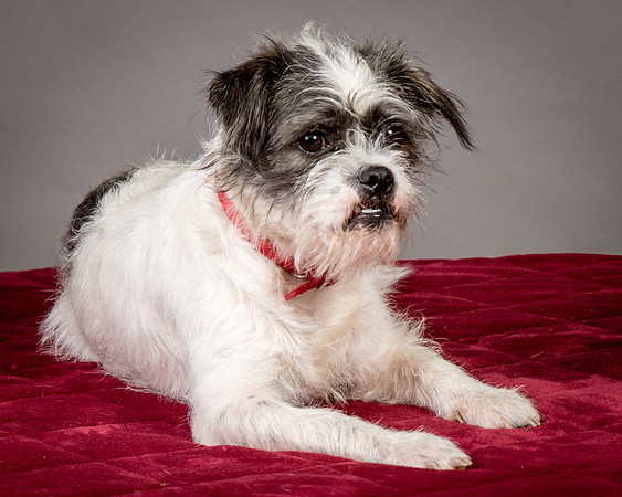 Foster Leeza-2757