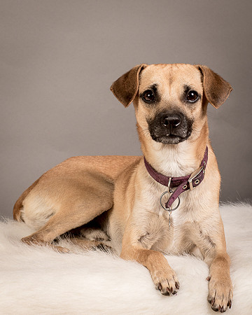 Foster Paxton-5072