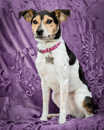 Foster Buffy-5632