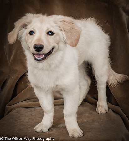 Foster Stephanie-9676