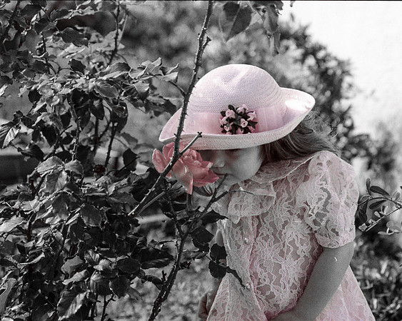 Veronica--15