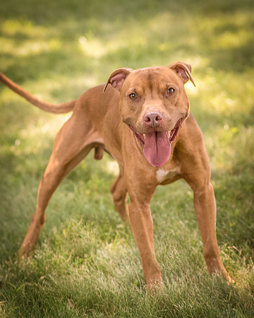 Foster Pablo-7992