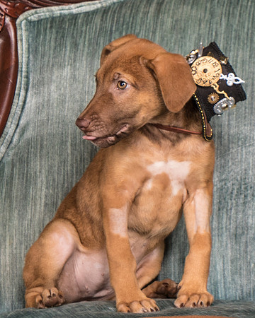 Foster Bronwyn-8335