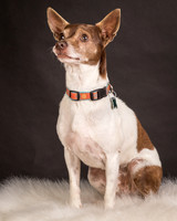 Foster Gus-0310
