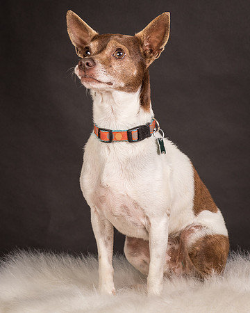 Foster Gus-0310