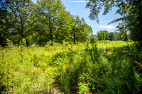 Wexford Landing Property-6753
