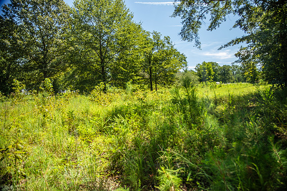 Wexford Landing Property-6753