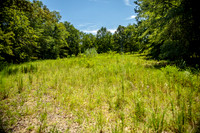 Wexford Landing Property-6757