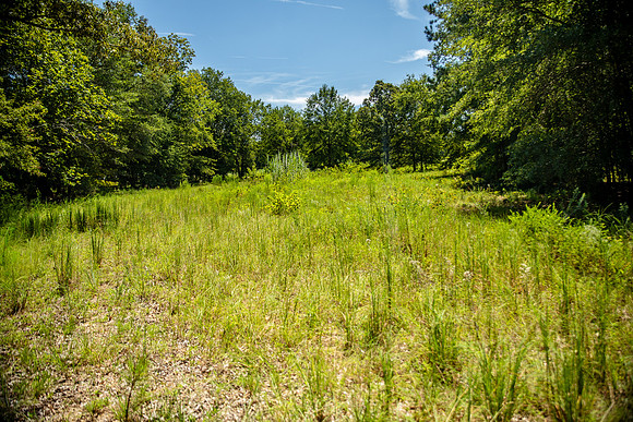 Wexford Landing Property-6757