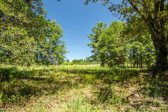 Wexford Landing Property-6759