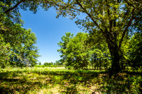 Wexford Landing Property-6760