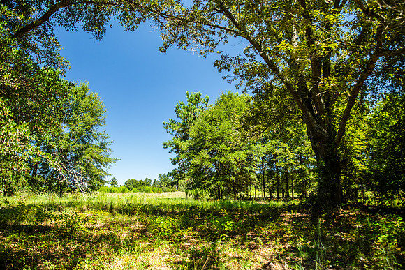 Wexford Landing Property-6760