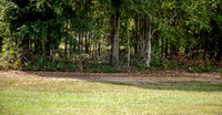Wexford Landing Property-7007