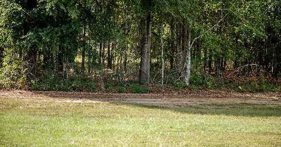 Wexford Landing Property-7007