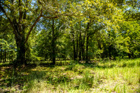 Wexford Landing Property-6761
