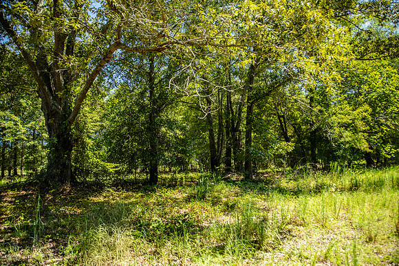 Wexford Landing Property-6761