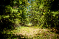 Wexford Landing Property-6749
