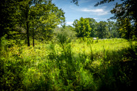 Wexford Landing Property-6752