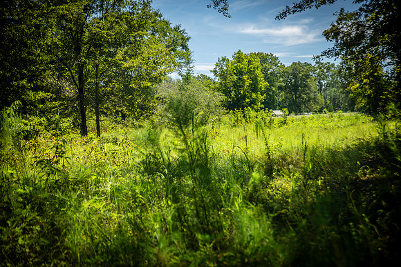 Wexford Landing Property-6752
