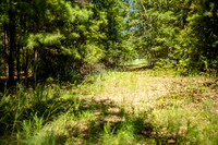 Wexford Landing Property-6751