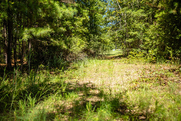 Wexford Landing Property-6751