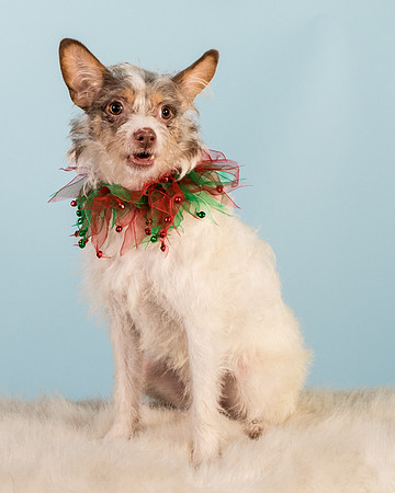 Foster Reagan-4955