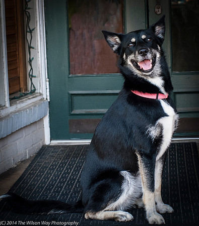 Foster Mala-9472