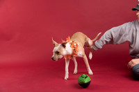 Calendar Bloopers-9104