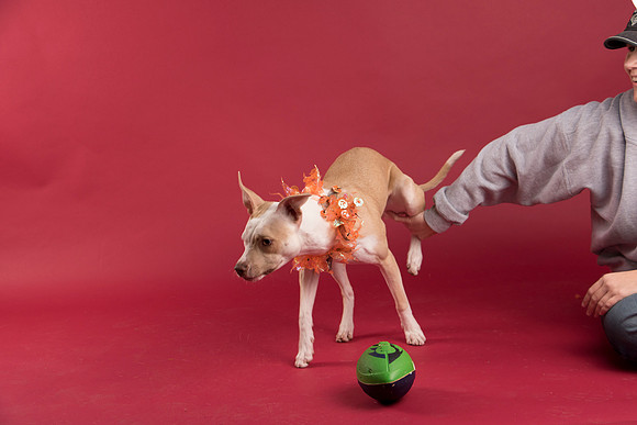Calendar Bloopers-9104