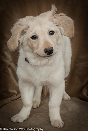 Foster Stephanie-9596