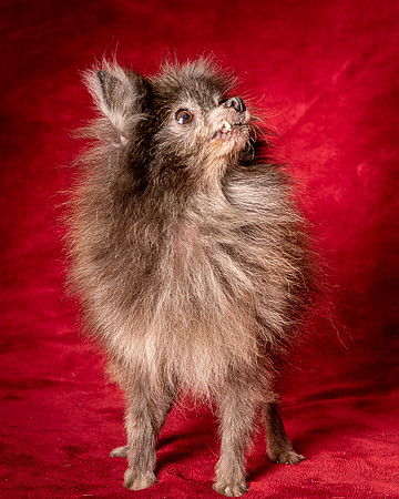 Foster Loretta-1358