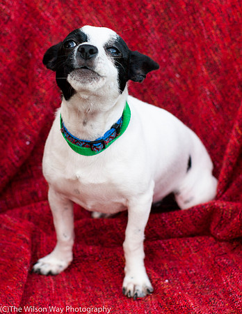 Foster Alfred-3725