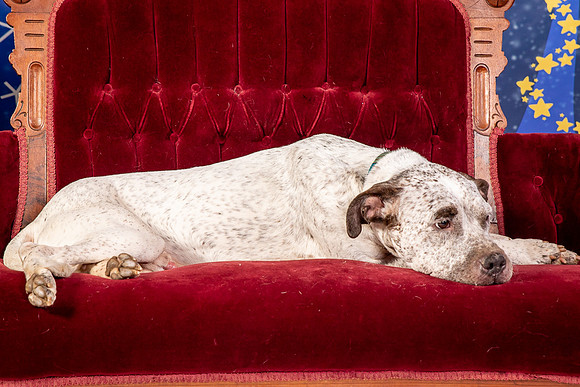 Foster Sylvester-0983