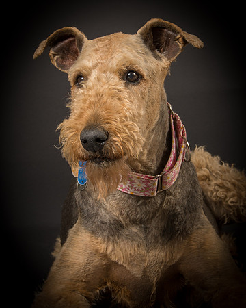 Sammie-7621