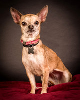 Foster Selina-1074