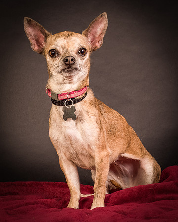 Foster Selina-1074