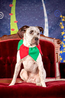 Foster Sylvester-0943