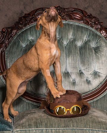 Foster Bronwyn-8274