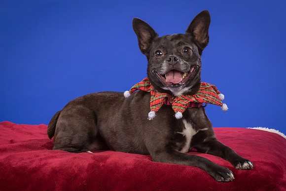 Slattery-Bella-0087