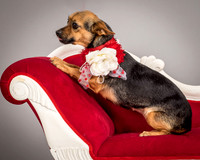 Foster Mavis-4082