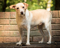 Foster June-8426