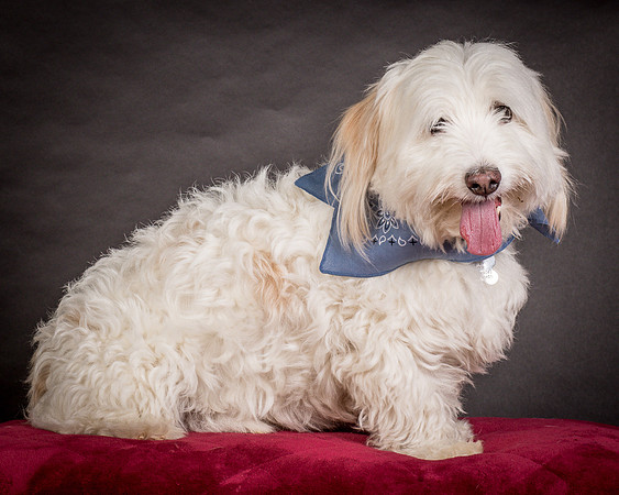 Foster Frosty-0530