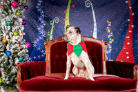 Foster Sylvester-0939