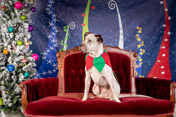 Foster Sylvester-0939