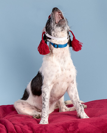 Foster Billie-8249