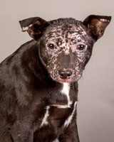 Foster Kendal-8761