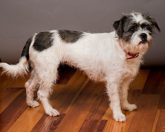 Foster Leeza-2875