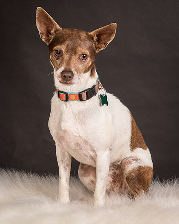 Foster Gus-0312