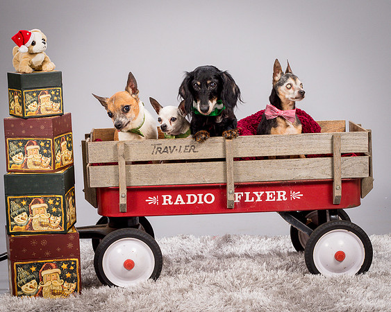 Foster Hospice Gang-3925